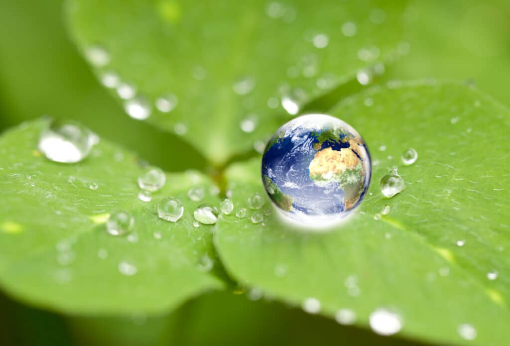 EESC puts water resilience at the heart of Europe’s future in Cyprus