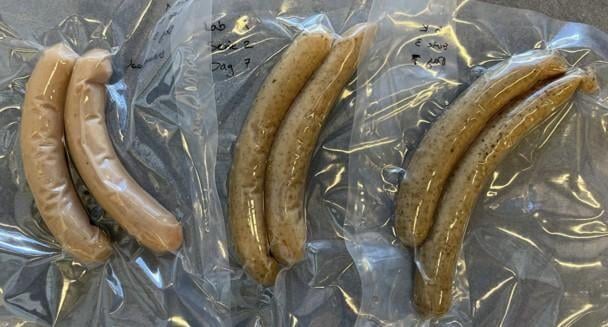 Fungus chews its way through beer residues: And makes sausage stuffing in a few days | The engineer