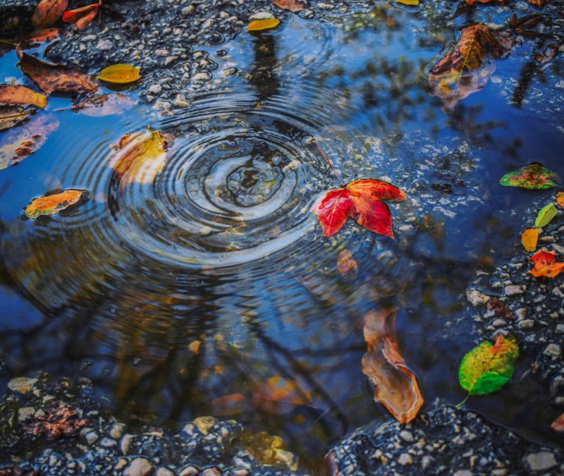 Europe-wide monitoring for antimicrobial resistance in surface waters can help improve data on health risks | Press releases