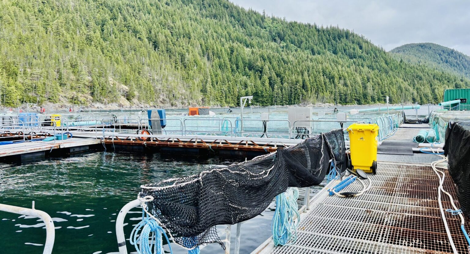 Canadian salmon farmers outperform Norway, UK in new sustainability report