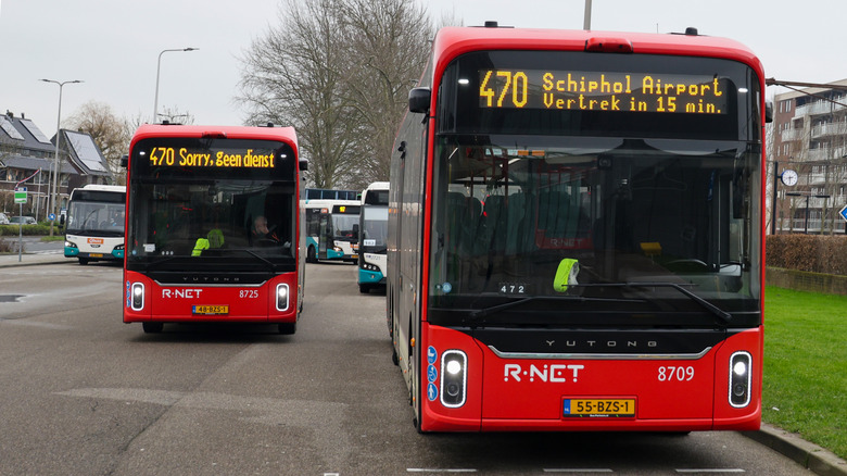 A pair of Yutong buses on a street in the Netherlands