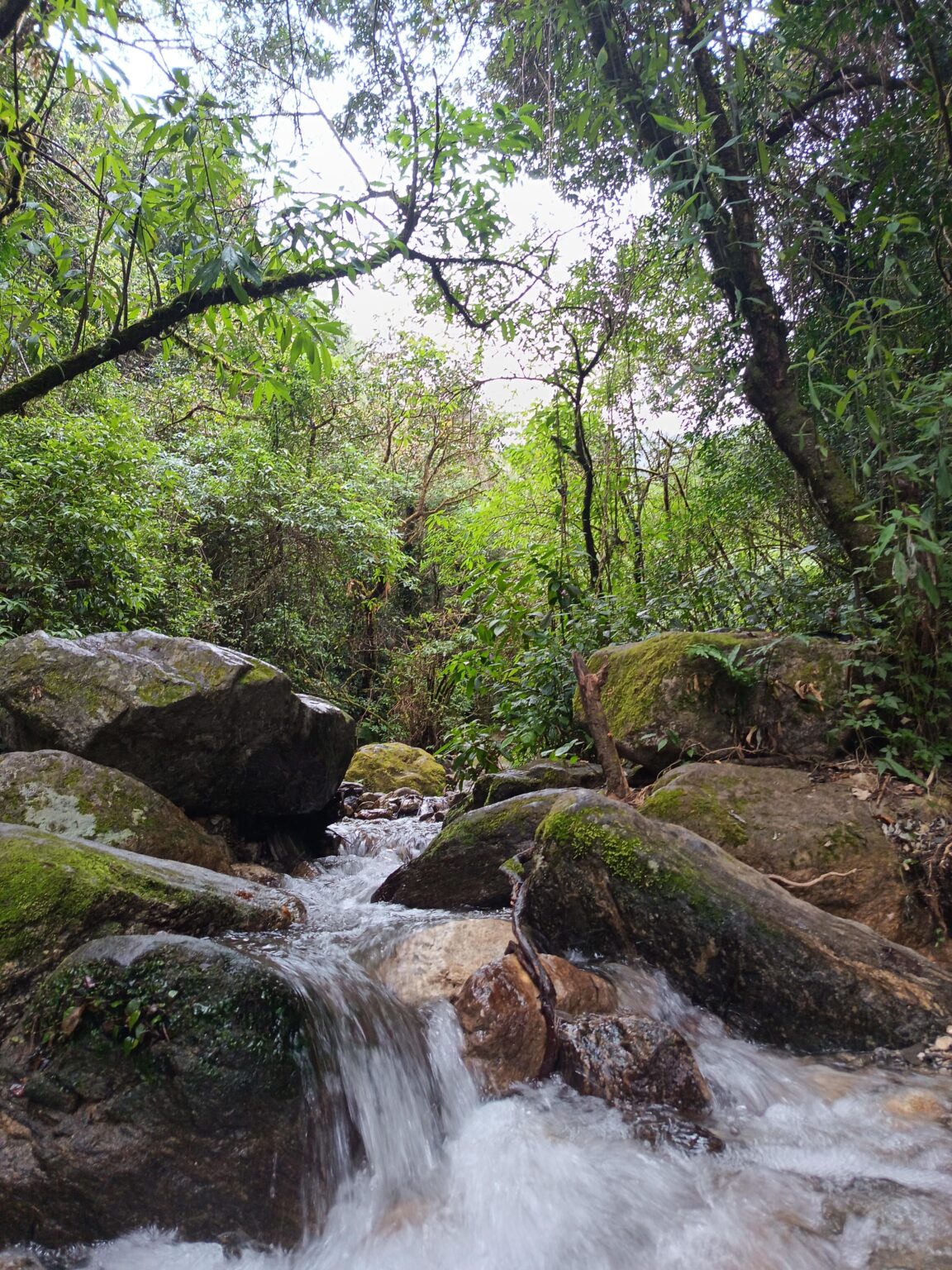 Only filter given by nature