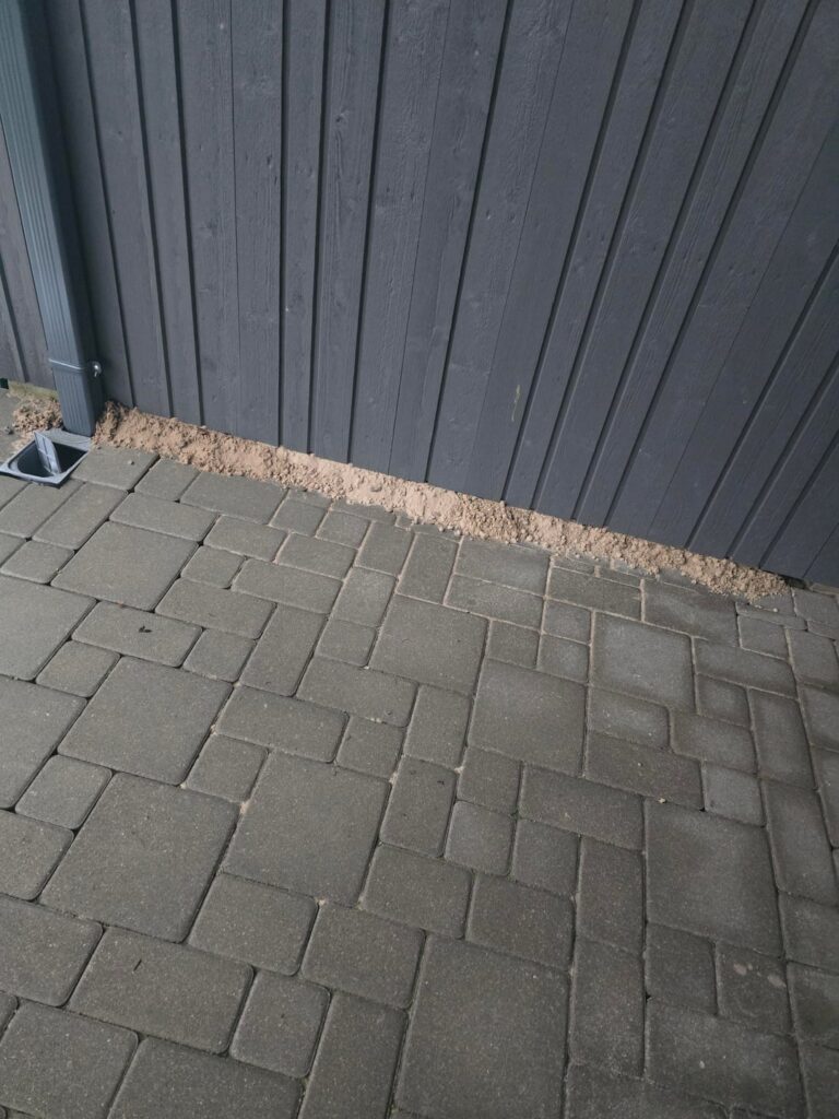 Is there an animal under my shed and should I be concerned?