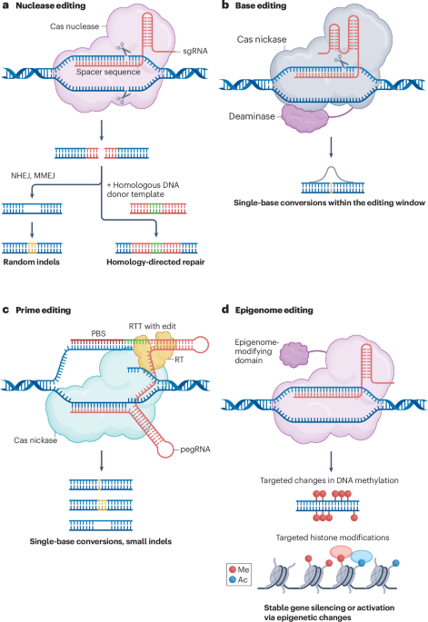 Harnessing artificial intelligence to advance CRISPR-based genome editing technologies