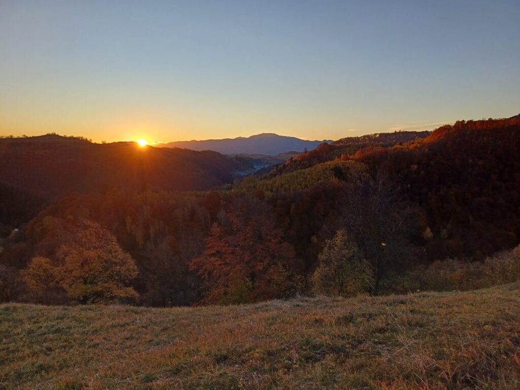 This has been a great autumn