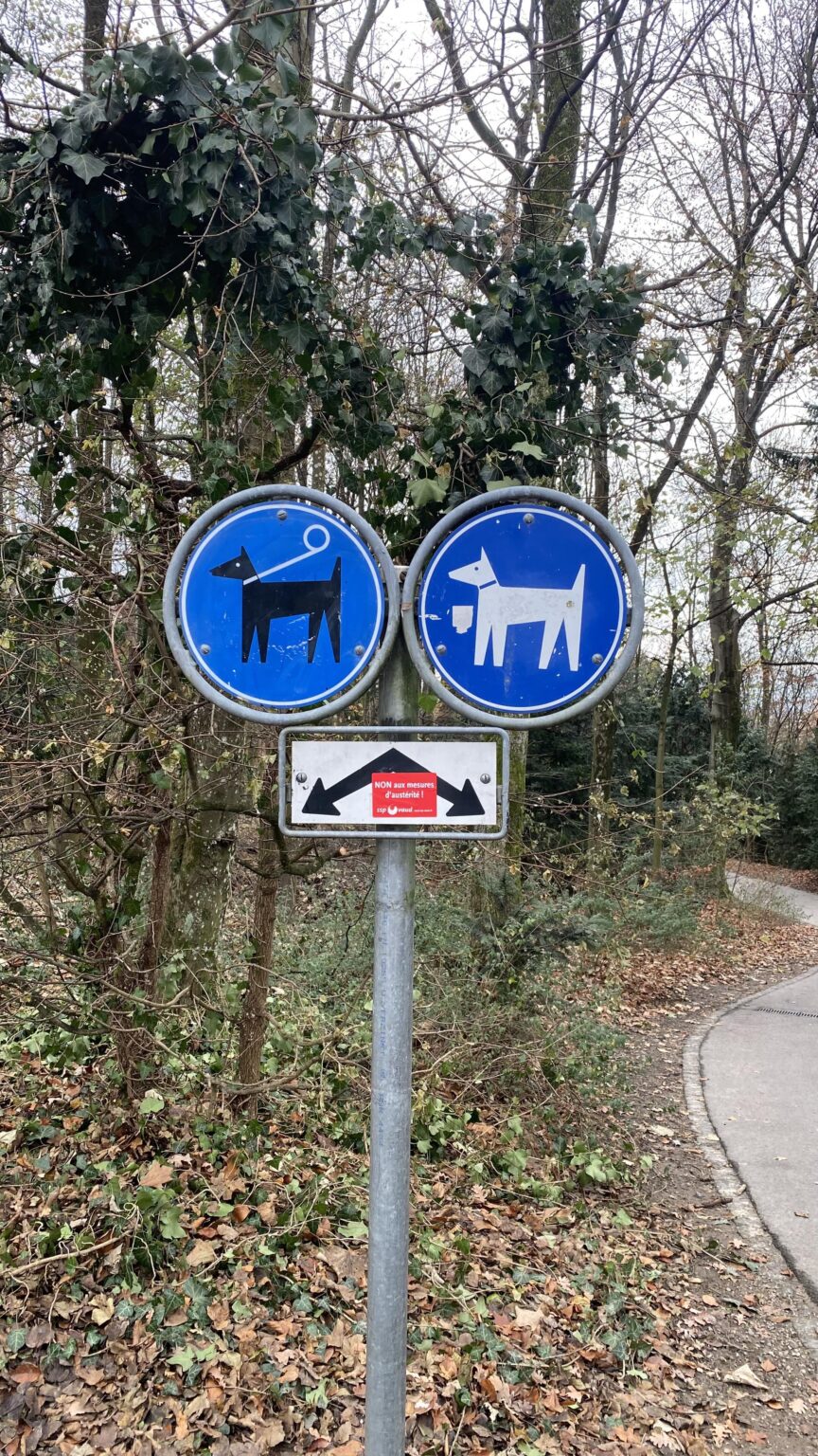 Discrimination canine.