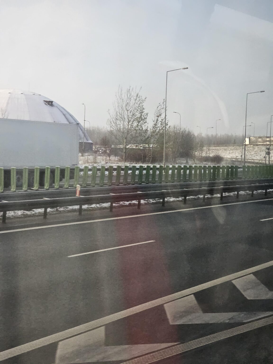 What are these green things on the fence?