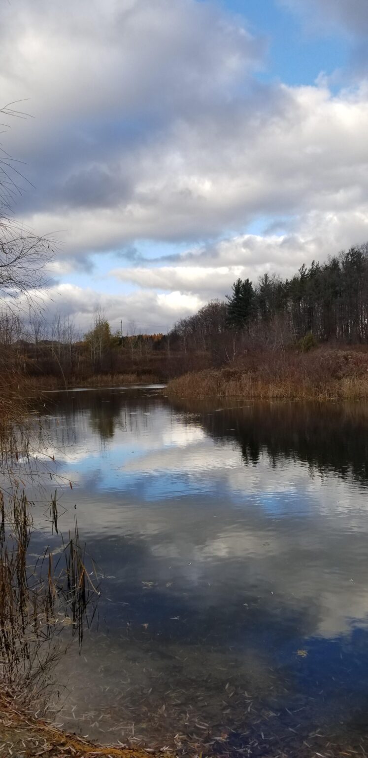 Gray skies with peaks of sunlight on a late November day
