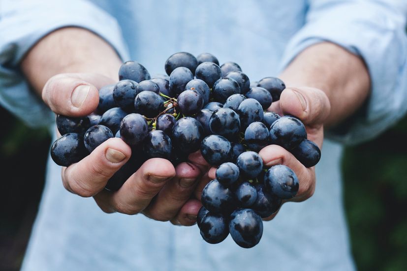Martinje: Croatians celebrate the holy day of wine today 