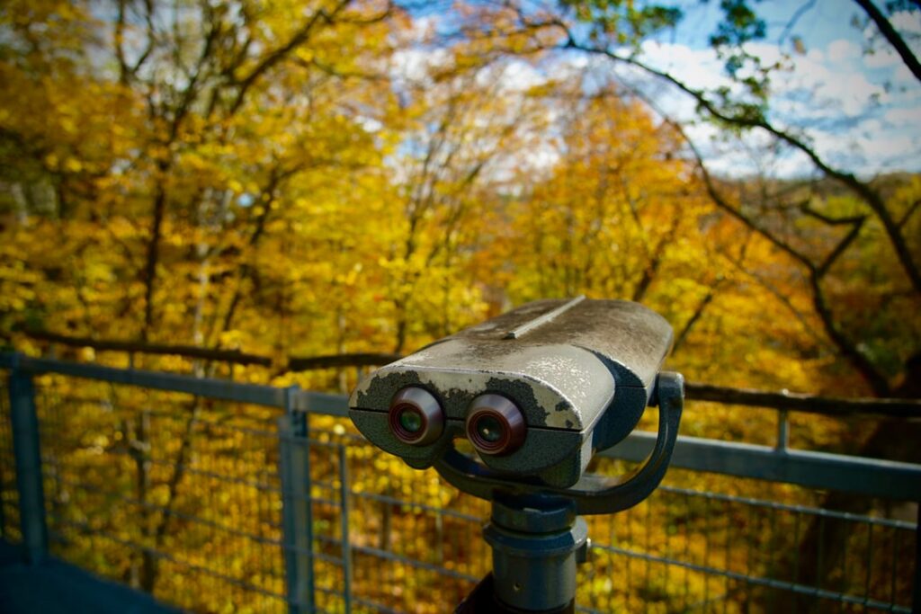 Morris Arboretum, Philly