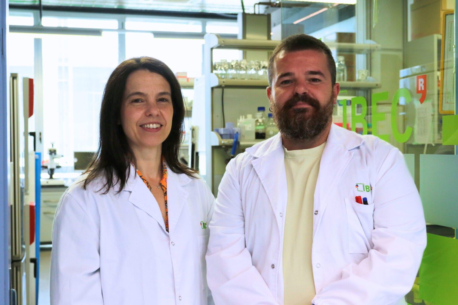 Researchers developed pioneering technology for human kidney organoids to be produced on a scalable basis. They can be combined with pig kidneys outside the body and transplanted back in a viable manner. This may extend life of organs for transplant and provide alternative in chronic kidney disease.