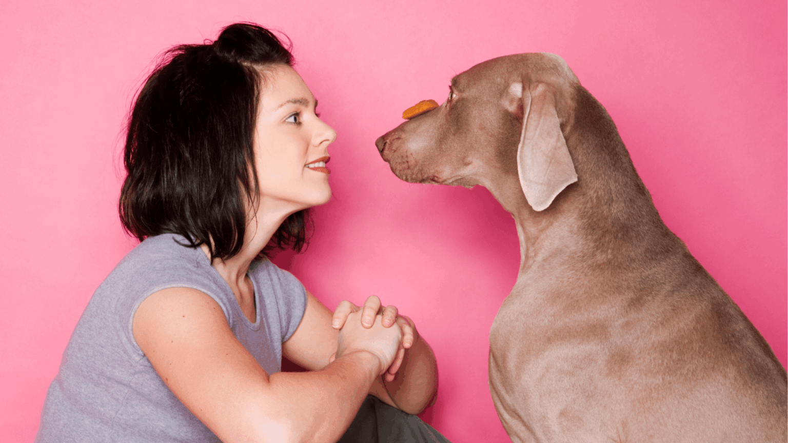 Scientists Say Your Pet Might Actually Be Neurodivergent Scientists Say Your Pet Might Actually Be Neurodivergent
