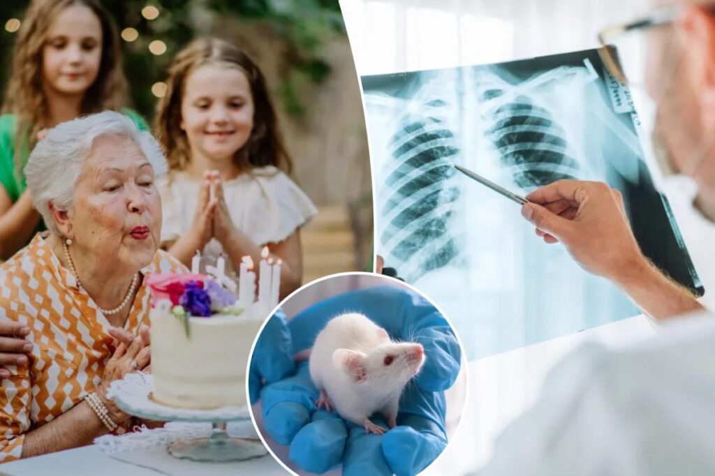 This is the age when cancer rates level off and even drop