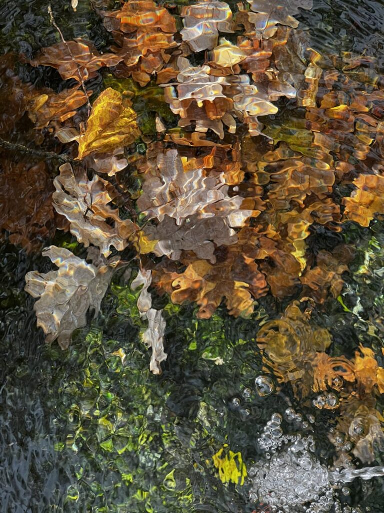 Golden October/Autumn Collage Germany