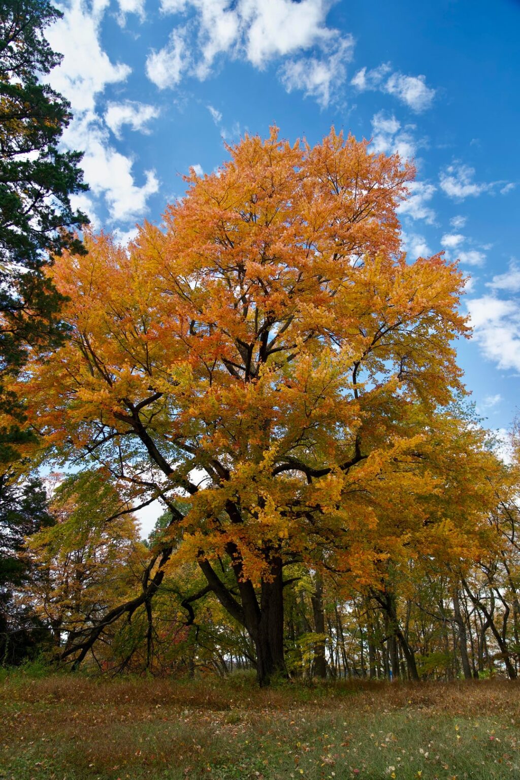 Valley Forge National Historical Park