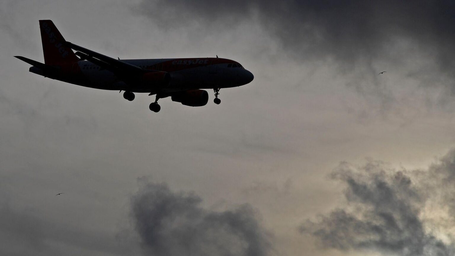 'Staggering' 20-year fall in domestic UK flights - as another form of transport benefits