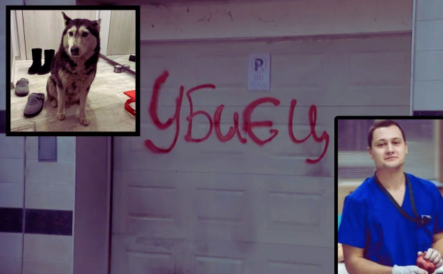 Bulgaria: North Macedonian Doctor Sparks Outrage in Bulgaria after Running Over Beloved Stray Dog Maya (GRAPHIC VIDEO)