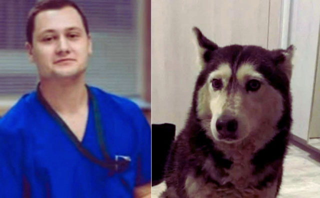 Bulgaria: Hospital Suspends North Macedonian Doctor Involved in Dog Runover Case in Sofia
