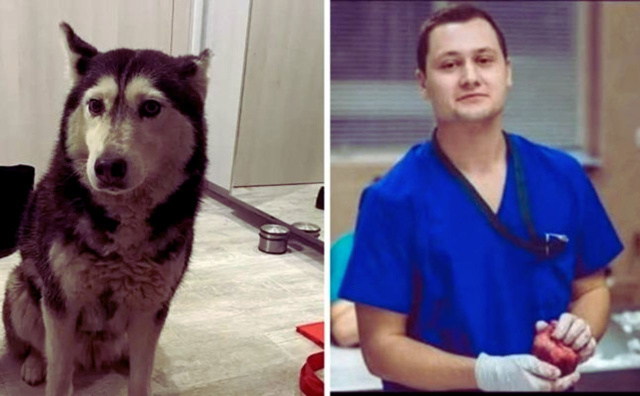 Bulgaria: North Macedonian Doctor Who Ran Over Stray Dog Maya Leaves Bulgaria Amid Investigation