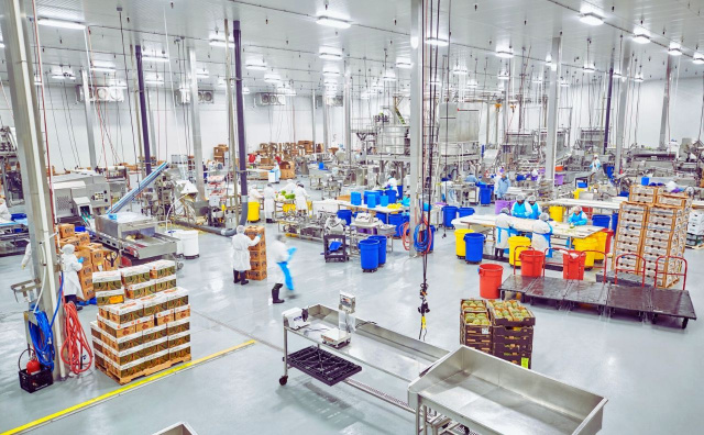 Bulgaria: Indian Snack Producer Set to Launch Manufacturing Facility in Bulgaria