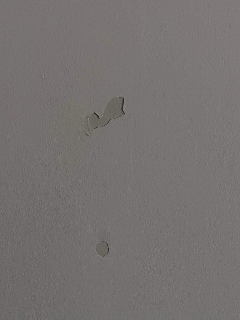 Wall update: the live wall looks great