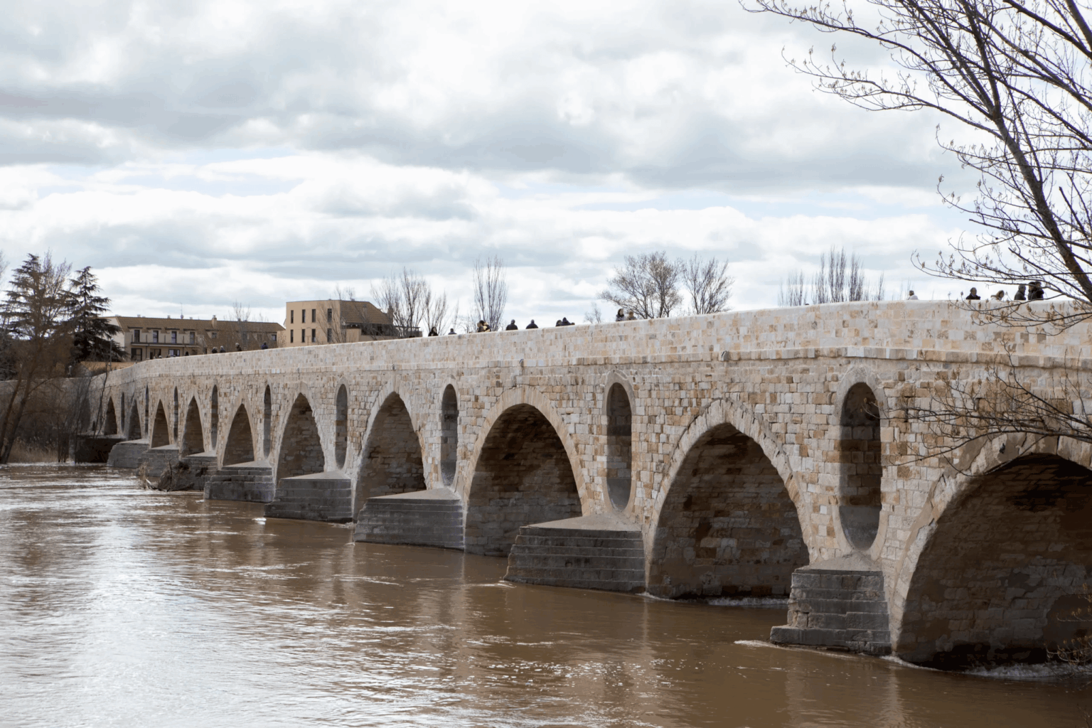 Zamora Stone Bridge