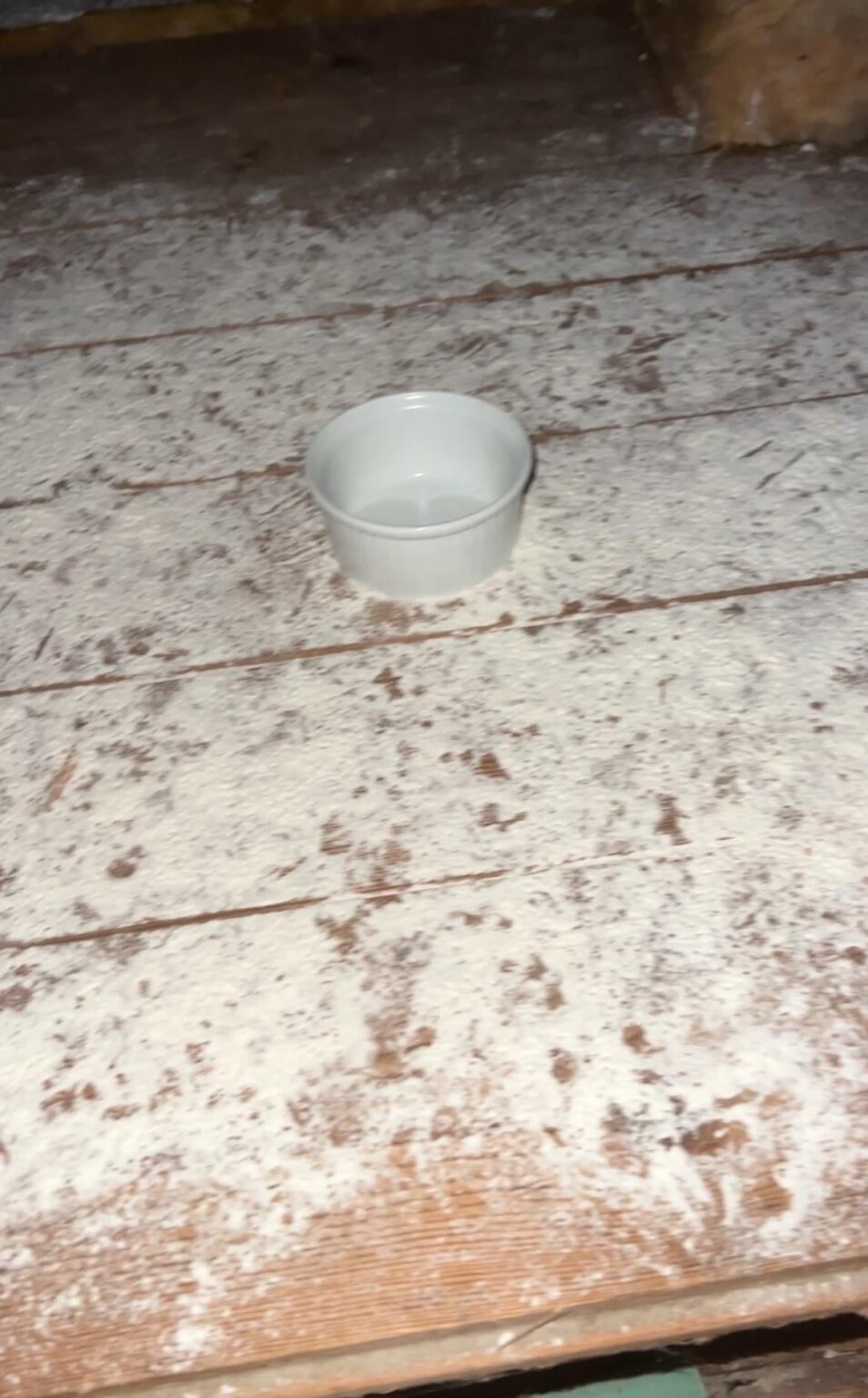 Update: [Nisser på loftet]