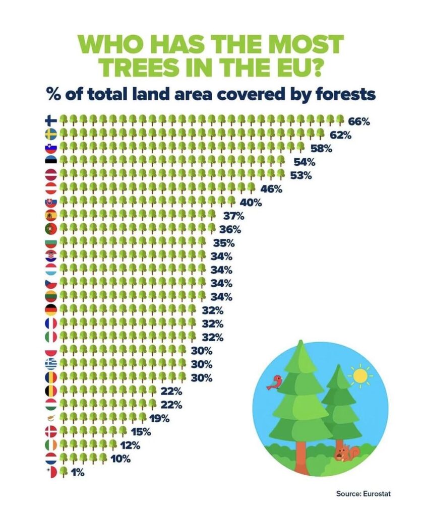 Not a single forest