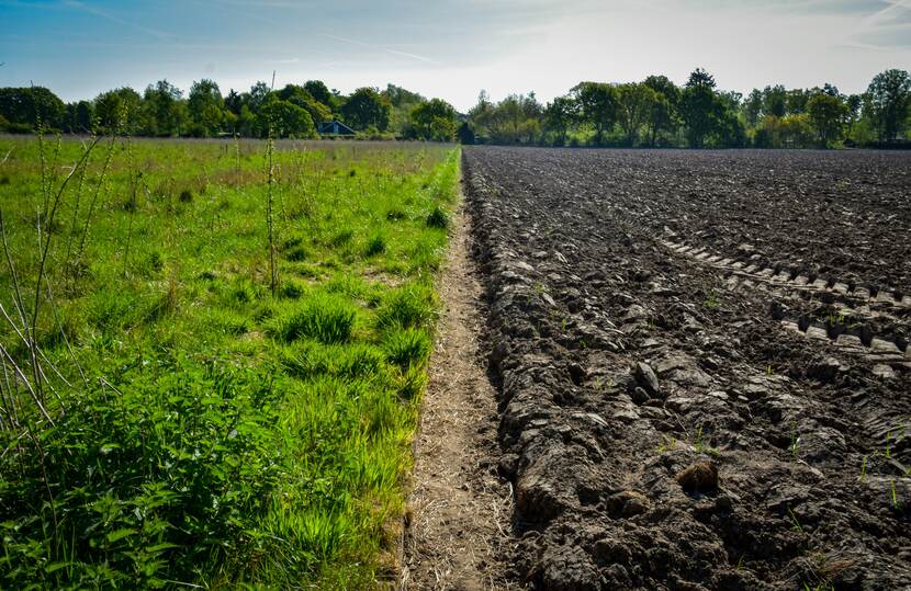 regenerative vs. conventional agriculture