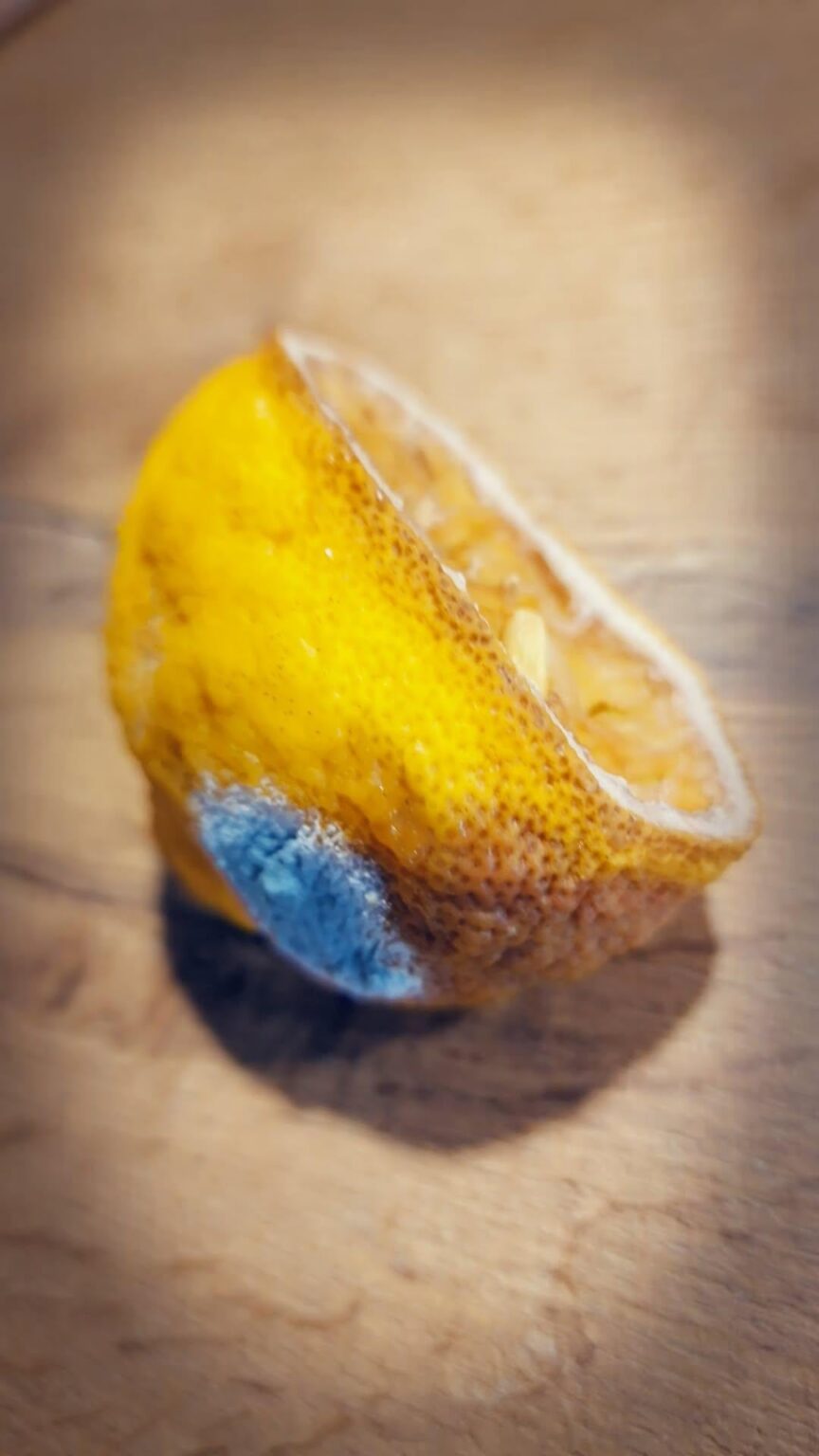 It's time to throw away that forgotten lemon... 🍋