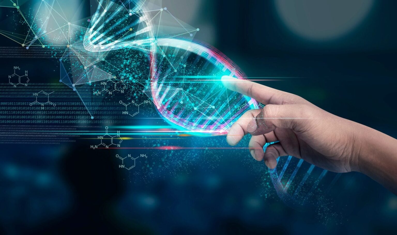 Brighter Side of News