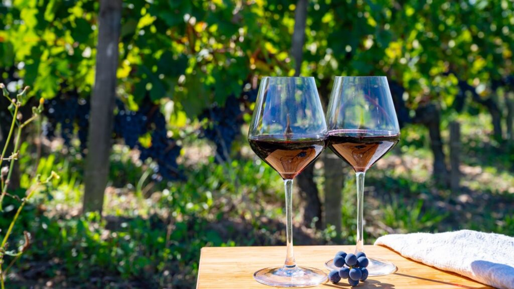 Italy, US drive up global wine production, OIV data shows