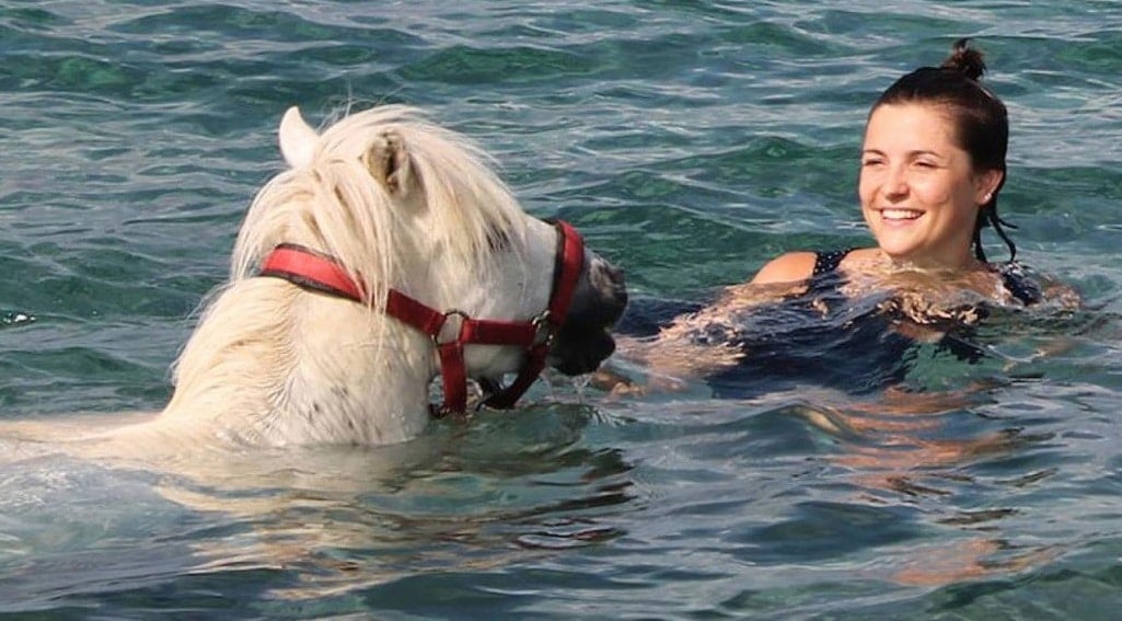 Horse of Skyros
