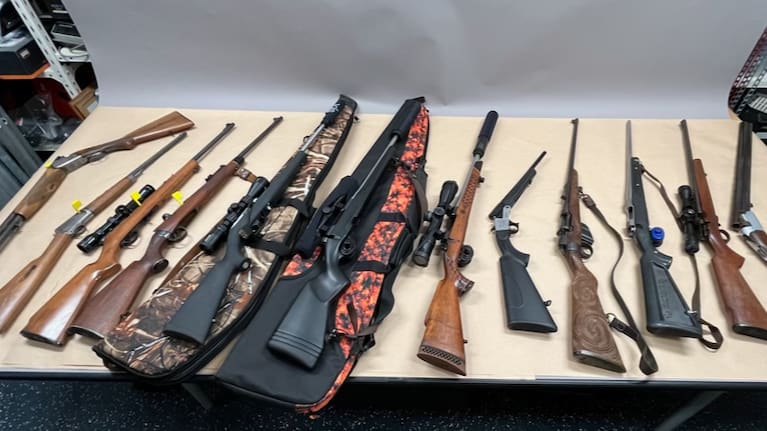 A set of guns seized by police. 