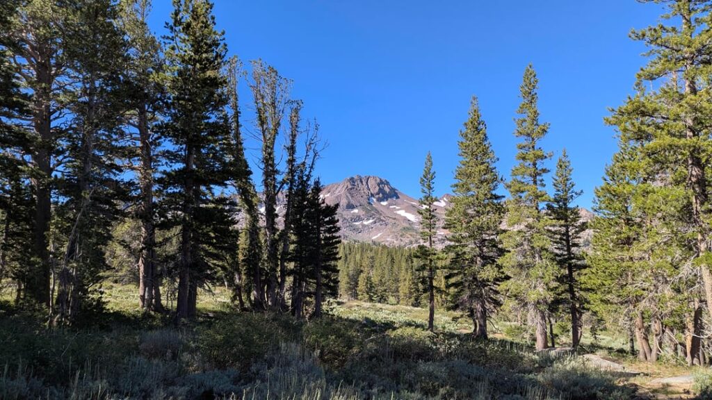 Mokelumne Wilderness and Round Top