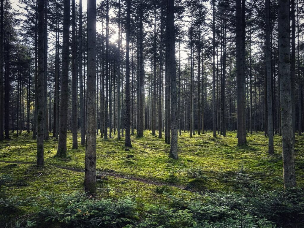 Underrated places in Denmark