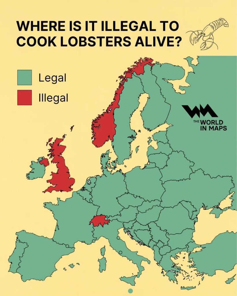 Boiling Lobsters alive in Norway