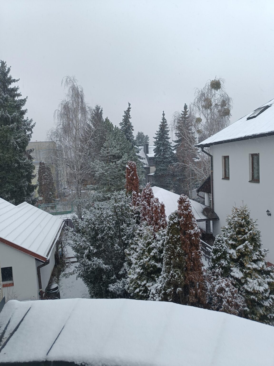 winter welcome :)