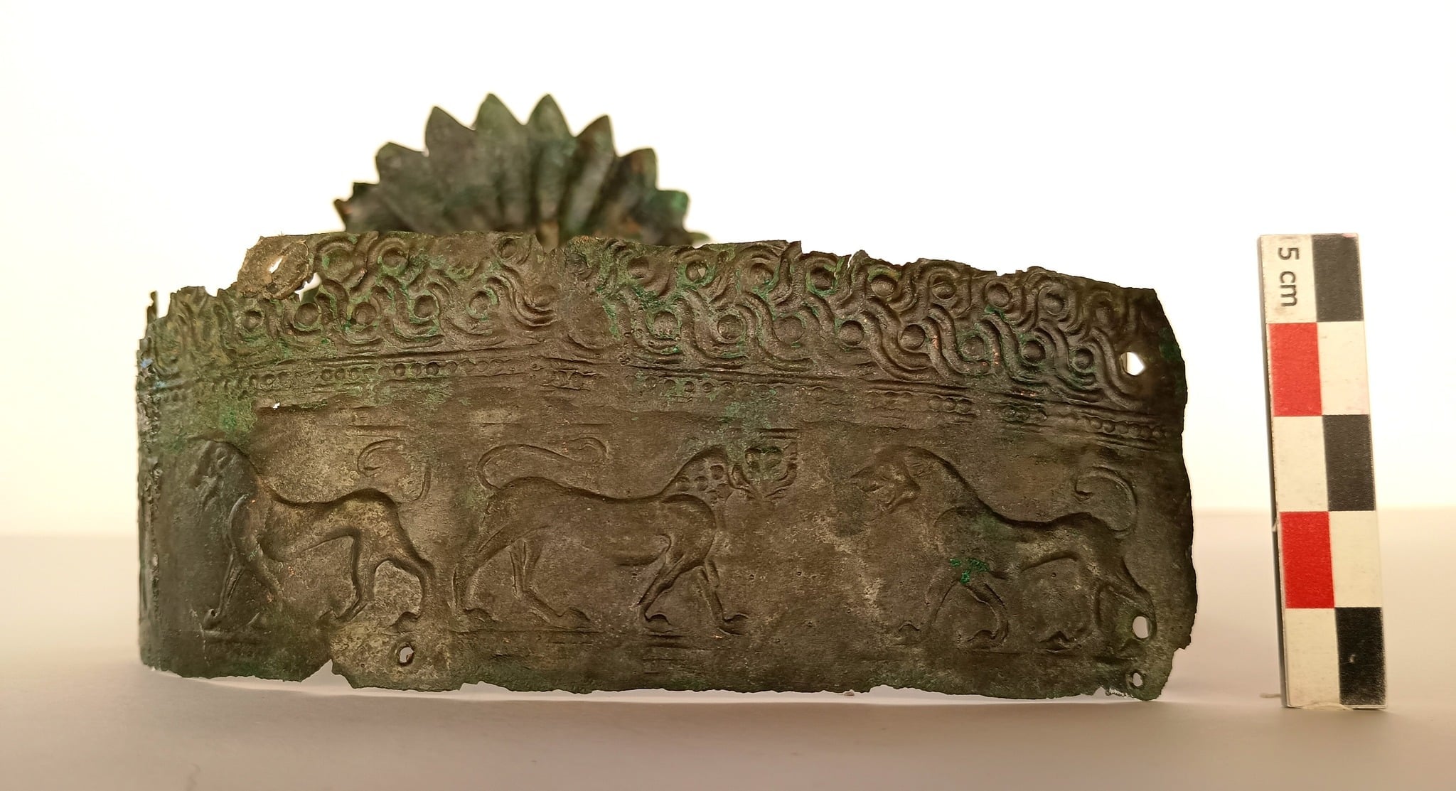 The bronze diadem from the elite burial