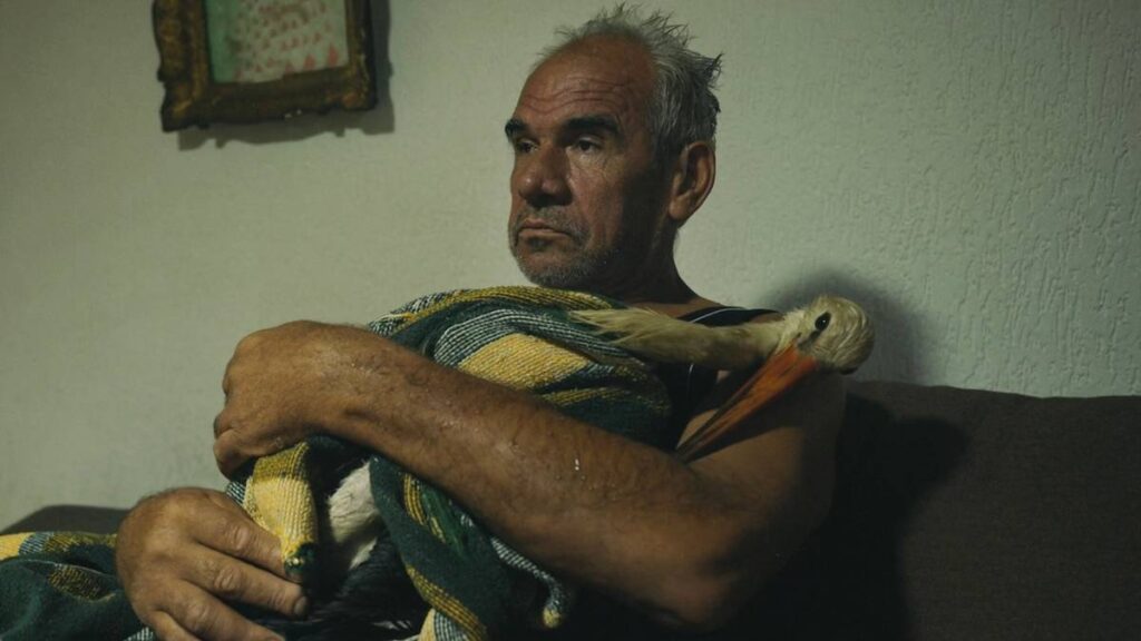Groundbreaking Oscar-Nominated Director Returns With a Fantastic Documentary About a Man and His Stork Groundbreaking Oscar-Nominated Director Returns With a Fantastic Documentary About a Man and His Stork