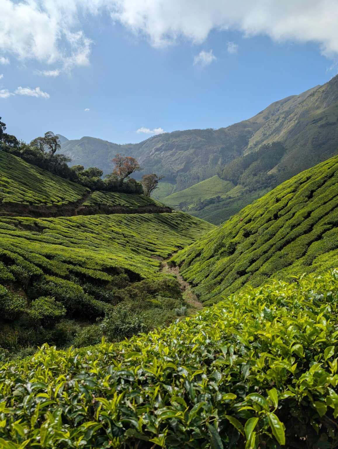 Wonderful day everyone