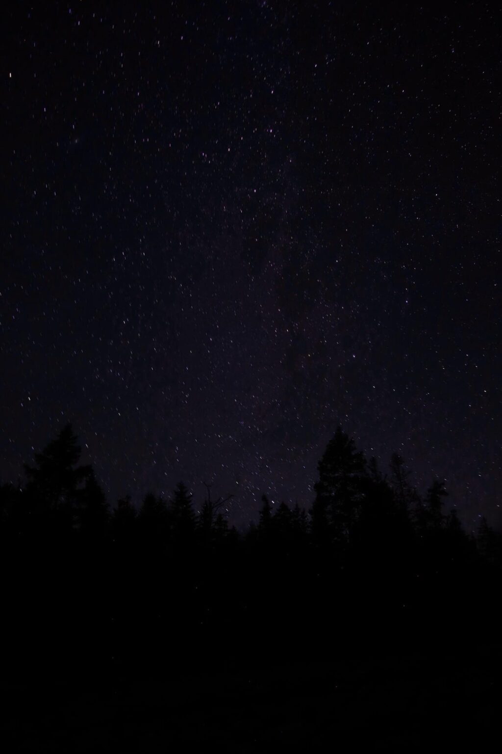 Acadia National Park: Nov. 17th 2025