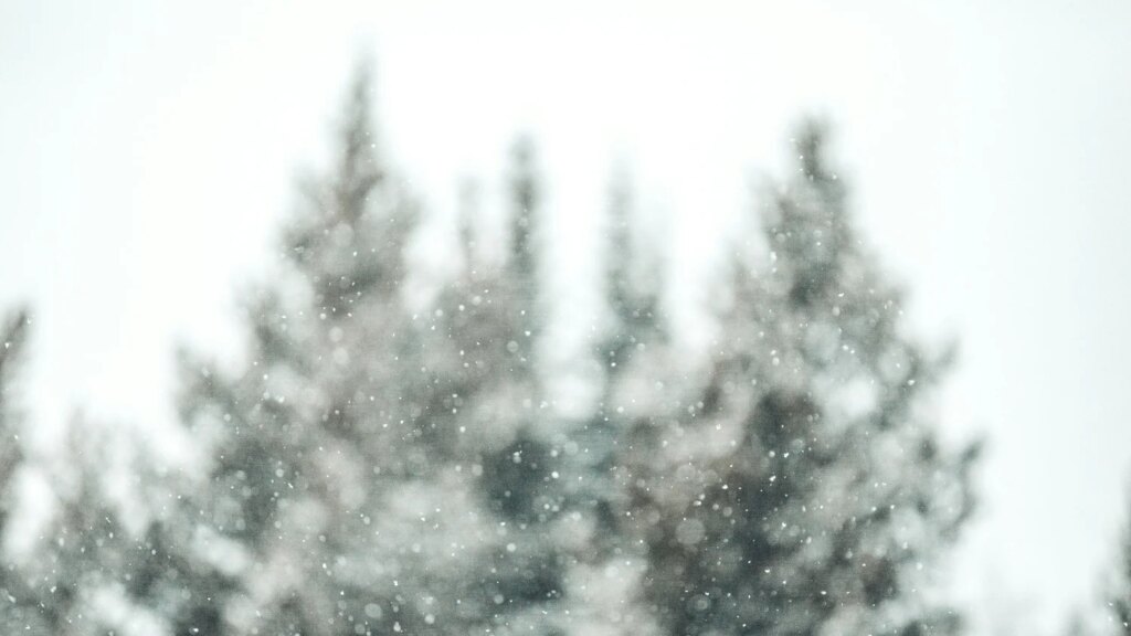 What kind of help is available to pay for winter energy bills? — DavidsonLocal.com