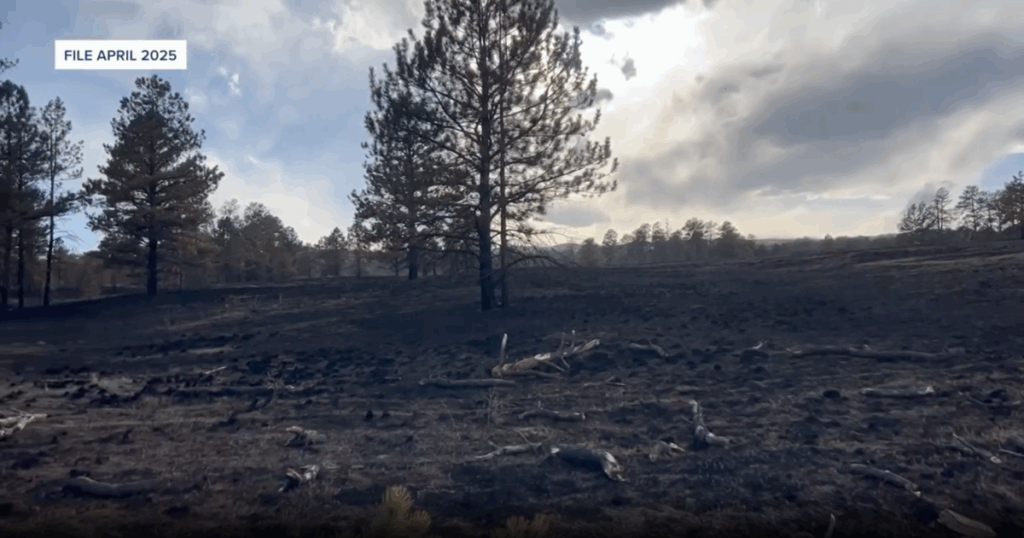 Turkey Tracks Shooting Range keeps causing fires, residents want accountability Turkey Tracks Shooting Range keeps causing fires, residents want accountability