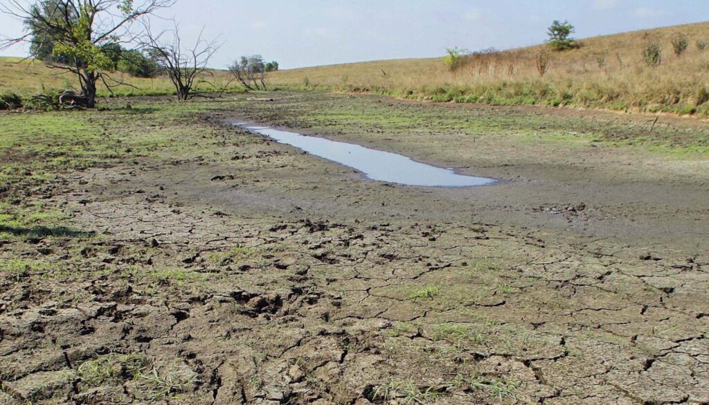 Trump administration to strip protections for wetlands and streams, leaving Illinois habitat at risk