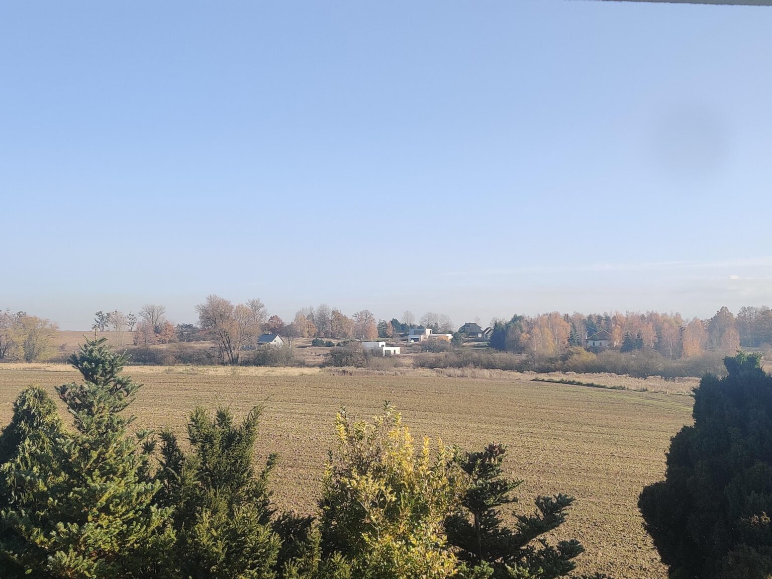Unpopular opinion: these types of November landscapes are very beautiful