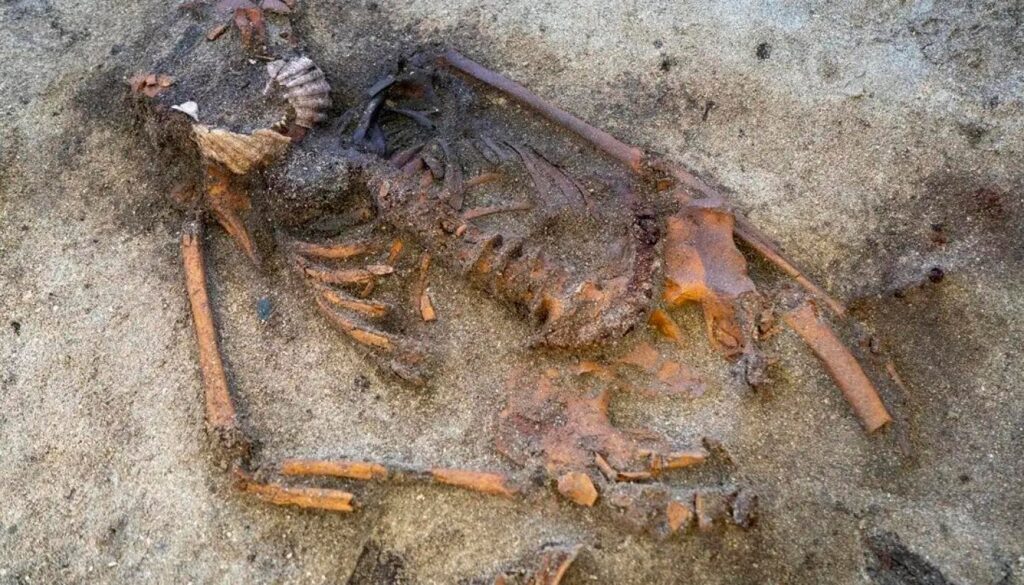 Unusual Viking woman&rsquo;s burial in Norway reveals a mysterious ritual