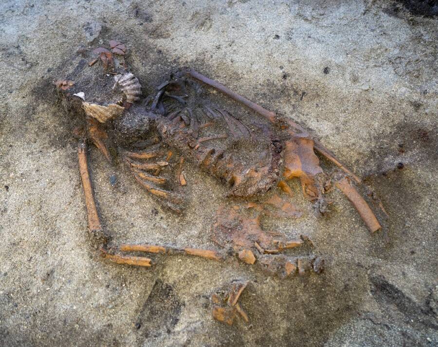 Viking Woman With Shells On Mouth