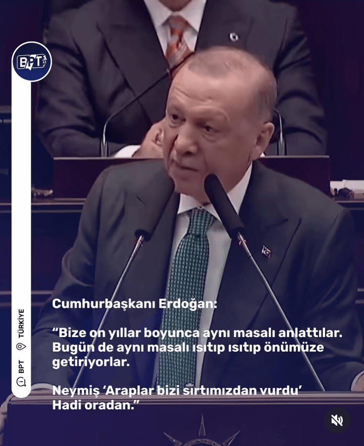 President Recep Tayyip Erdoğan says Arabs did not stab us in the back