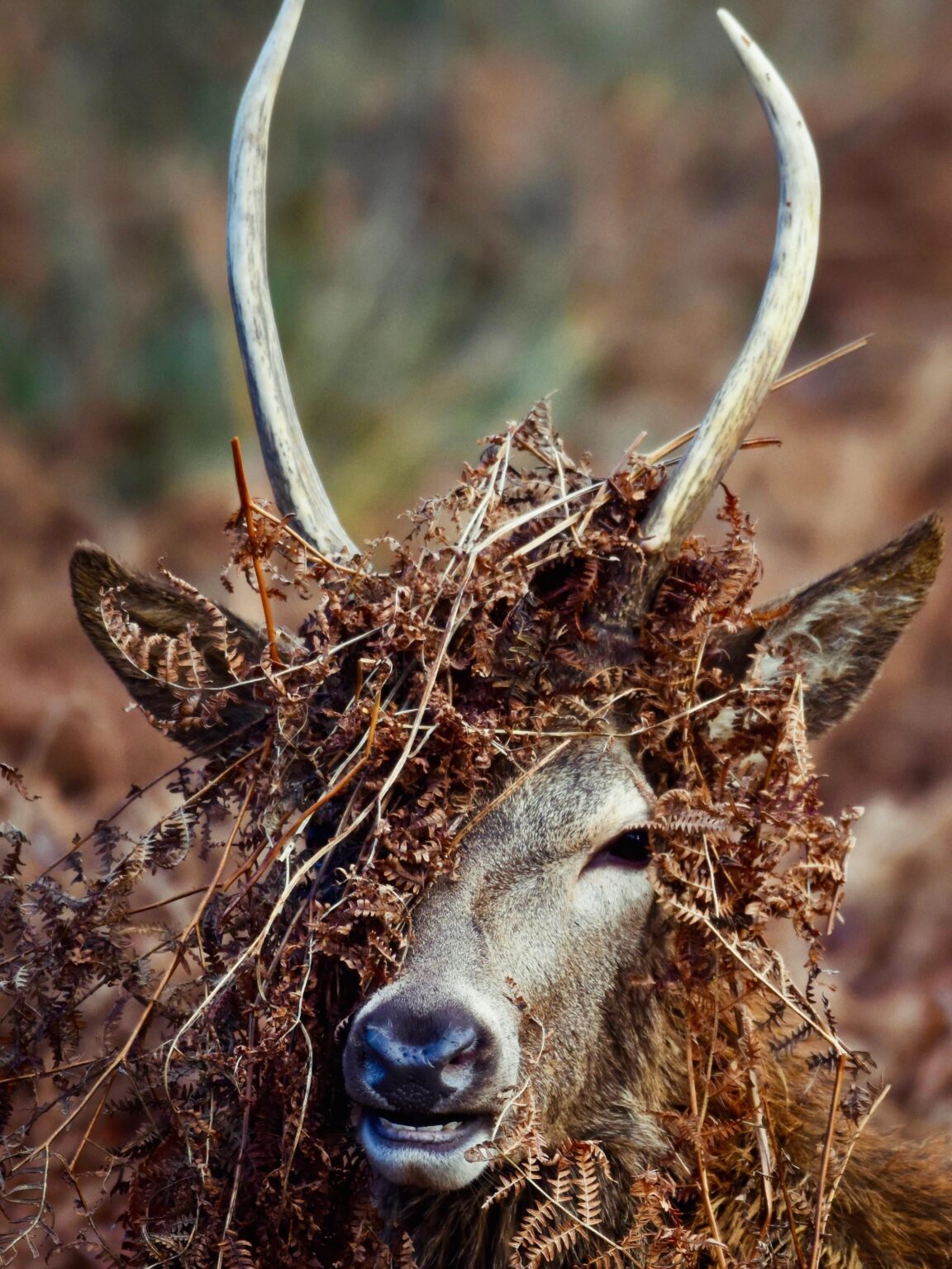 “Style is who you are, what you want to say and not giving a damn” - Orson Welles